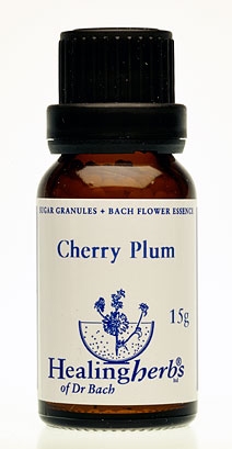 Cherry Plum Granulat 24006