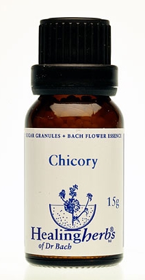 Chicory Granulat 24008