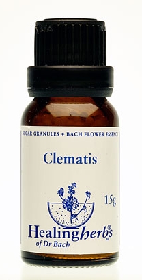 Clematis Granulat 24009