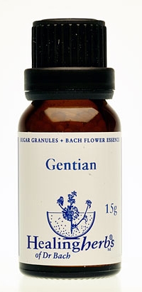 Gentian Granulat 24012