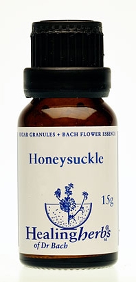 Honeysuckle Granulat 24016