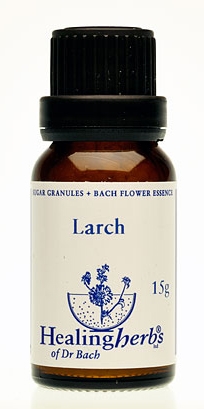 Larch Granulat 24019