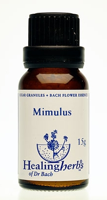 Mimulus Granulat 24020
