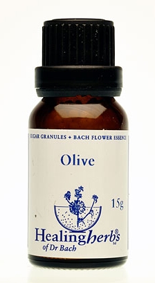 Olive Granulat 24023