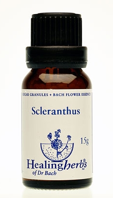 Scleranthus Granulat 24028