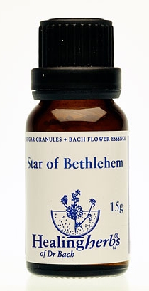 Star of Bethlehem Granulat 24029