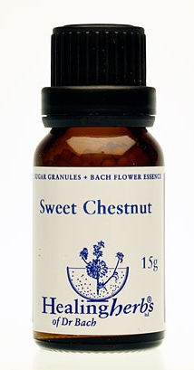 Sweet Chestnut Granulat 24030