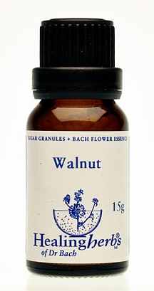 Walnut Granulat 24033