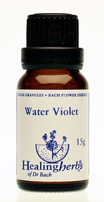 Water Violet Granulat 24034