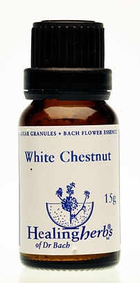 White Chestnut Granulat 24035