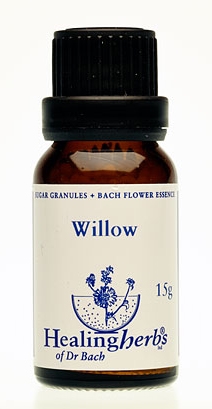 Willow Granulat 24038