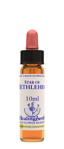 STAR OF BETHLEHEM