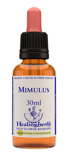 MIMULUS